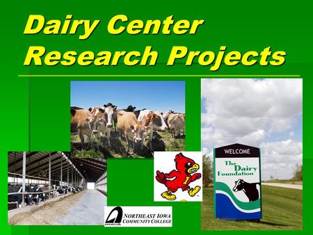 Dairy Center Research Projects