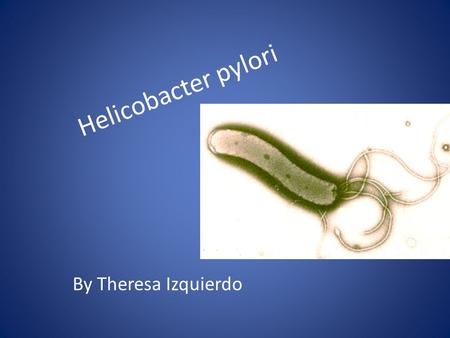 Helicobacter pylori By Theresa Izquierdo.