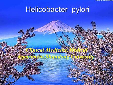 Helicobacter pylori Clinical Medicine.Medical department.Shandong University.