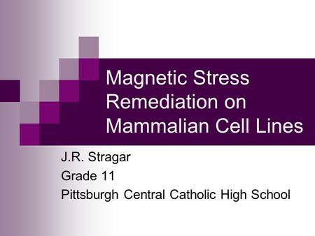 Magnetic Stress Remediation on Mammalian Cell Lines J.R. Stragar Grade 11 Pittsburgh Central Catholic High School.
