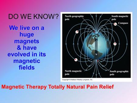 DO WE KNOW? We live on a huge magnets & have evolved in its magnetic fields Magnetic Therapy Totally Natural Pain Relief.