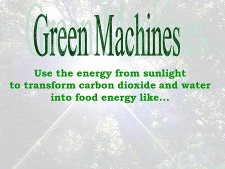 Use the energy from sunlight to transform carbon dioxide and water into food energy like...