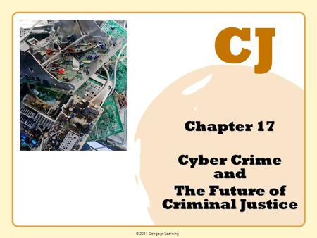 CJ © 2011 Cengage Learning Chapter 17 Cyber Crime and The Future of Criminal Justice.