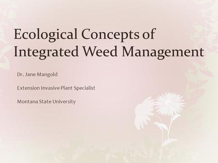 Ecological Concepts of Integrated Weed Management Dr. Jane Mangold Extension Invasive Plant Specialist Montana State University.
