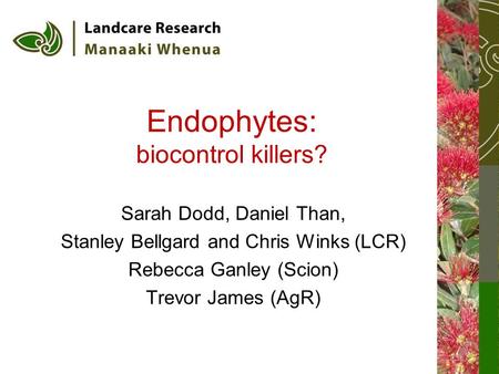 Endophytes: biocontrol killers?