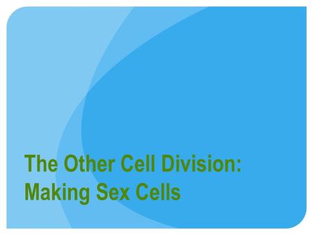 The Other Cell Division: Making Sex Cells