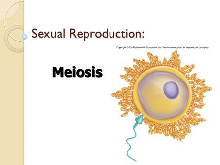 Sexual Reproduction: Meiosis.