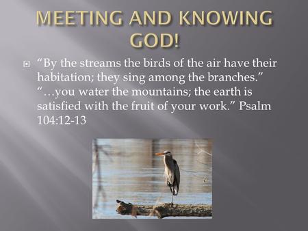  “By the streams the birds of the air have their habitation; they sing among the branches.” “…you water the mountains; the earth is satisfied with the.
