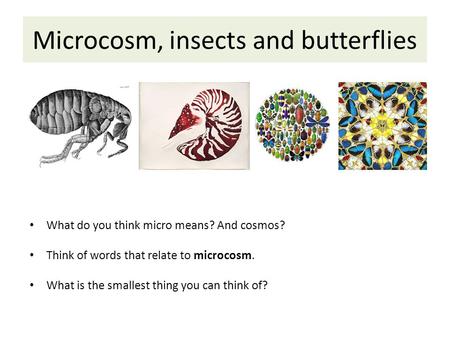 Microcosm, insects and butterflies What do you think micro means? And cosmos? Think of words that relate to microcosm. What is the smallest thing you can.