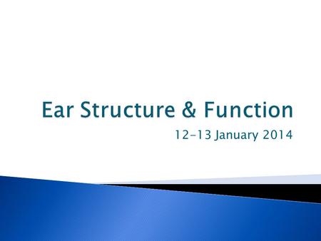 Ear Structure & Function