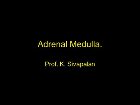 Adrenal Medulla. Prof. K. Sivapalan. 08-01-14Adrenal Medulla.2 Strtucture. Location- centre of adrenal gland and paravertibral ganglia. Blood supply -