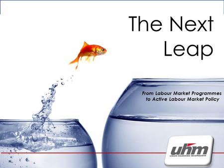 The Next leap The Next Leap From Labour Market Programmes to Active Labour Market Policy.