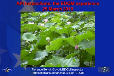 API Inspections: the EDQM experience 29 March 2010