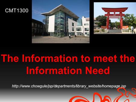 The Information to meet the Information Need  CMT1300.