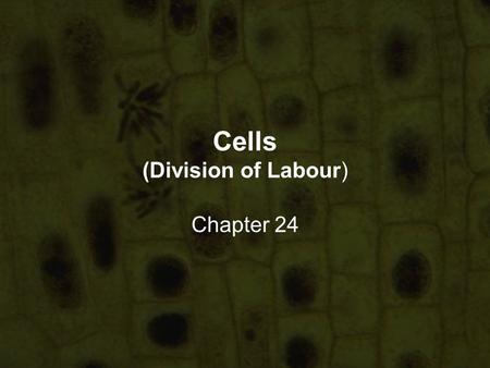 Cells (Division of Labour) Chapter 24. In this chapter, you will learn… that cells of similar structures are organised into tissues that several tissues.