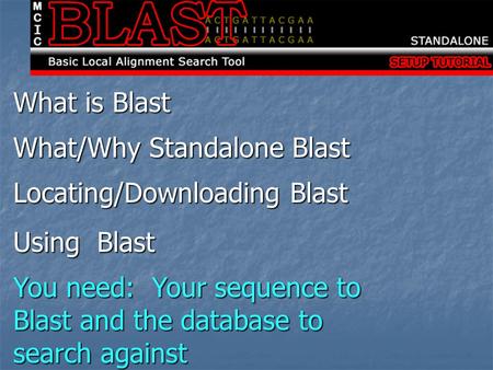 What is Blast What/Why Standalone Blast Locating/Downloading Blast Using Blast You need: Your sequence to Blast and the database to search against.