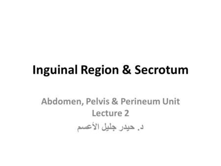 Inguinal Region & Secrotum