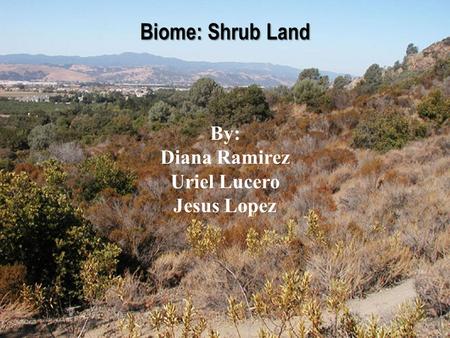 Biome: Shrub Land By: Diana Ramirez Uriel Lucero Jesus Lopez.