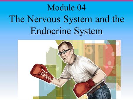 The Nervous System and the Endocrine System Module 04.