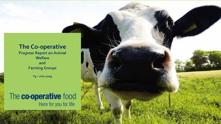 The Co-operative Progress Report on Animal Welfare and Farming Groups V3 – July 2015.