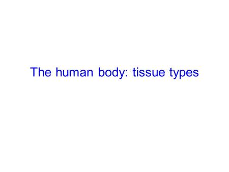 The human body: tissue types. The human body primary tissues: muscle nervous epithelial connective organs: composed of at least two primary tissues systems: