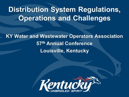 Distribution System Regulations, Operations and Challenges