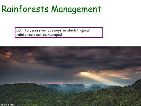 Rainforests Management LO : To assess various ways in which tropical rainforests can be managed.