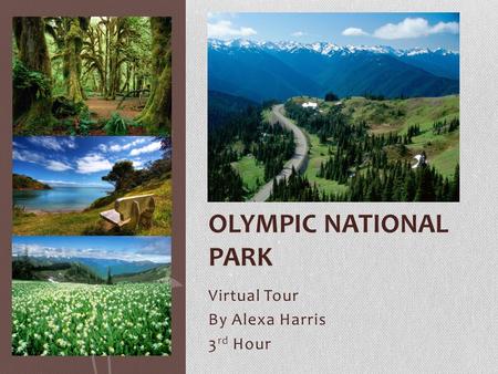 Virtual Tour By Alexa Harris 3 rd Hour OLYMPIC NATIONAL PARK.