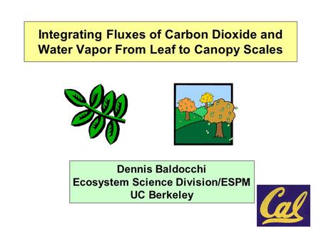 Integrating Fluxes of Carbon Dioxide and Water Vapor From Leaf to Canopy Scales Dennis Baldocchi Ecosystem Science Division/ESPM UC Berkeley.