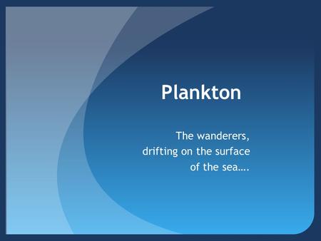 Plankton The wanderers, drifting on the surface of the sea….