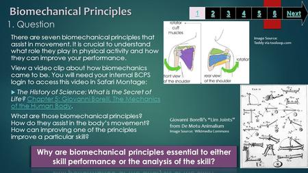 1. Question There are seven biomechanical principles that assist in movement. It is crucial to understand what role they play in physical activity and.