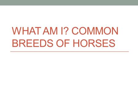 WHAT AM I? COMMON BREEDS OF HORSES. Last Lesson Talked about uses of horses: Who can tell me what is one of the main things we use horses for? What is.