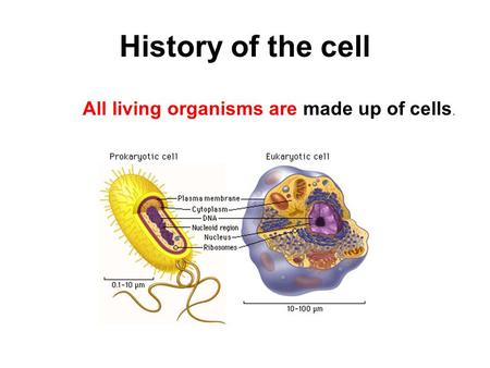 History of the cell All living organisms are made up of cells.