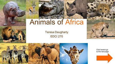 Animals of Africa Teresa Daugharty EDCI 270 Click here to go to the next page.