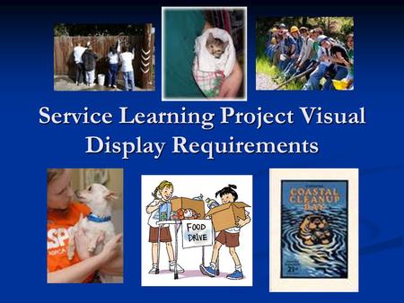 Service Learning Project Visual Display Requirements.