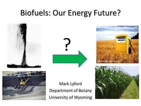 Biofuels: Our Energy Future? Mark Lyford Department of Botany University of Wyoming ?