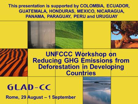 UNFCCC Workshop on Reducing GHG Emissions from Deforestation in Developing Countries Rome, 29 August – 1 September This presentation is supported by COLOMBIA,