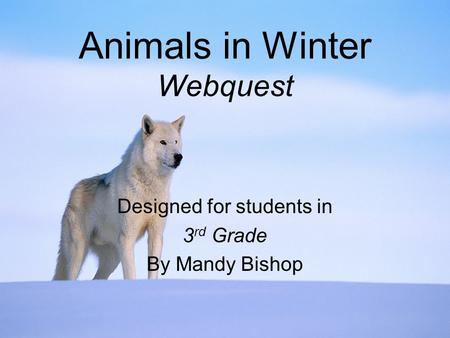 Animals in Winter Webquest