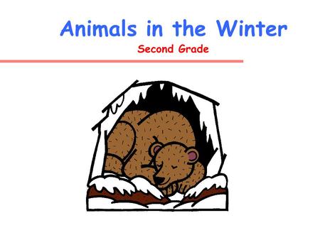 Animals in the Winter Second Grade What do animals do during the winter?