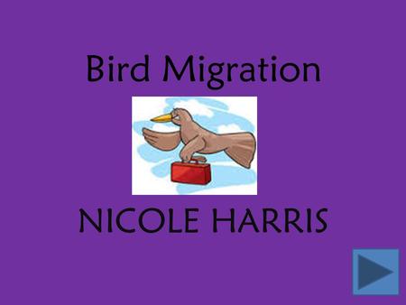 Bird Migration NICOLE HARRIS.