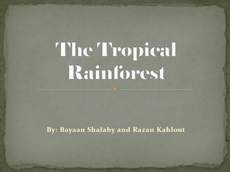 By: Bayaan Shalaby and Razan Kahlout. The largest rainforest in the world is the Amazon Rainforest. Tropical Rainforests are located in Africa, Asia,