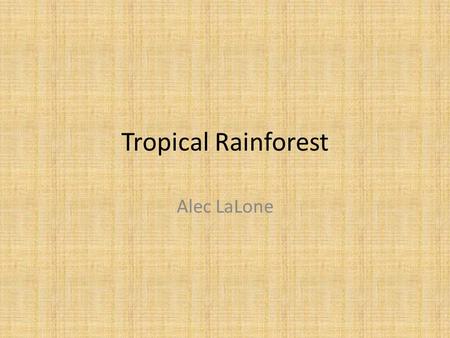 Tropical Rainforest Alec LaLone. What is a tropical rainforest??? Well, a tropical rainforest is a forest of tall trees in a region of year-round warmth.