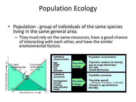 Population Ecology Population - group of individuals of the same species living in the same general area. – They must rely on the same resources, have.