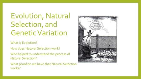 Evolution, Natural Selection, and Genetic Variation What is Evolution? How does Natural Selection work? Who helped to understand the process of Natural.