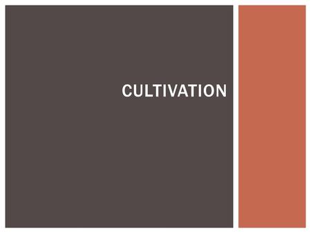 CULTIVATION.  Reduce compaction  Reduce thatch  Smooth surface REASONS TO CULTIVATE TURF.