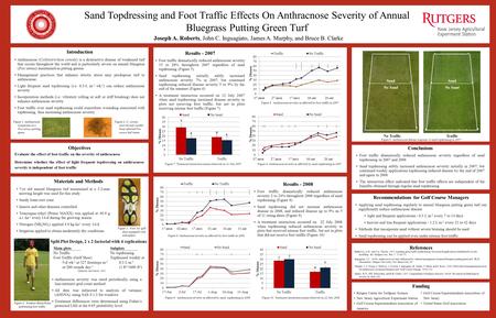 Sand Topdressing and Foot Traffic Effects On Anthracnose Severity of Annual Bluegrass Putting Green Turf Joseph A. Roberts, John C. Inguagiato, James A.
