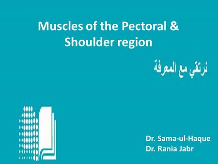Muscles of the Pectoral & Shoulder region