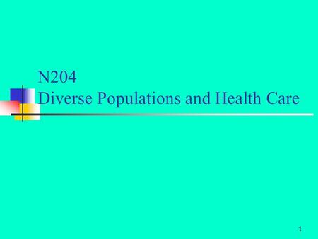 1 N204 Diverse Populations and Health Care. 2 Agenda – 2/26/08 Paper presentation Virginia – 3 articles Elisa – 2 articles Indira - 3 articles Gracie.