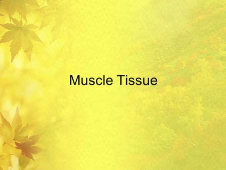 Muscle Tissue. Objective: Students will be able to compare and contrast the three types of muscle tissue.