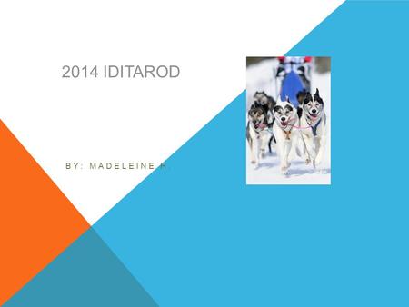 2014 IDITAROD BY: MADELEINE H. INTRODUCTION The Iditarod is a sled dog race. The dogs pull a sled from Anchorage, Alaska to Nome, Alaska. The dog’s owners.